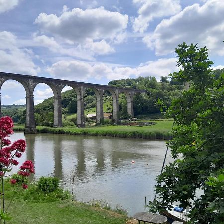 The Artist'S Retreat Daire Calstock Dış mekan fotoğraf